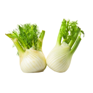 FENNEL