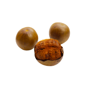 MONKEY FRUIT