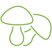 Mezclas 100% orgánicas